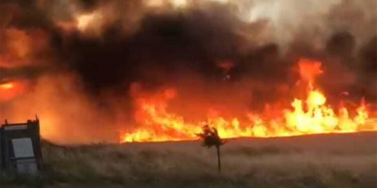 Malatya'da 10 dönüm ekili buğday yandı