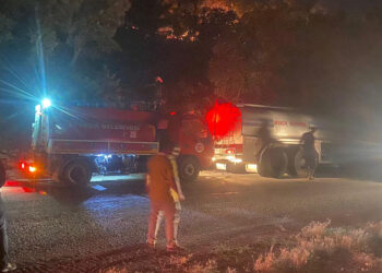 Ayvacık'ta orman yangını
