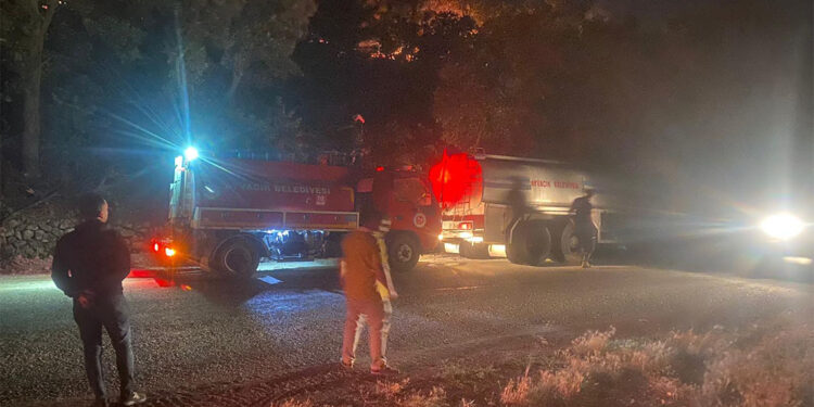 Ayvacık'ta orman yangını