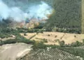 Bergama'da çıkan orman yangını 20 saat sonra kontrol altına alındı