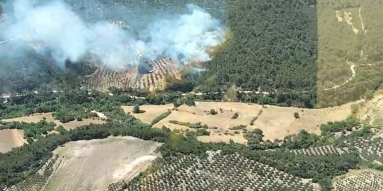 Bergama'da çıkan orman yangını 20 saat sonra kontrol altına alındı