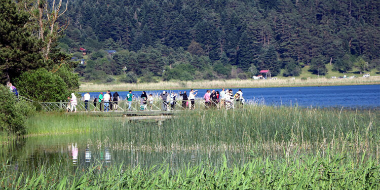 Abant Gölü Milli Parkı tatilcilerin akınına uğradı