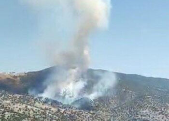 Manisa Salihli'de orman yangını