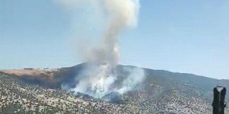 Manisa Salihli'de orman yangını