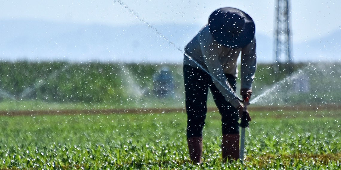 Selçuk Üniversitesi’nden Prof. Dr. Sait Gezgin, Konya Ovası'nda yaşanan değişime dikkati çekerek tabiri caizse su ömrümüz azalıyor dedi.