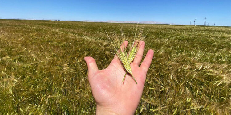 Su ömrümüz azalıyor