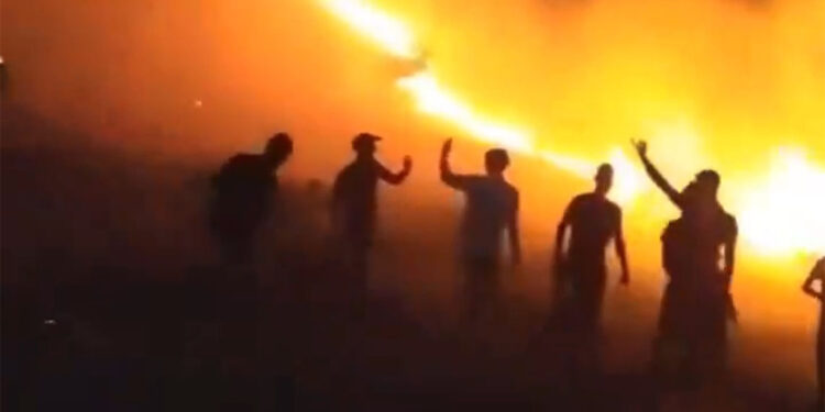 Artuklu'da orman yangını