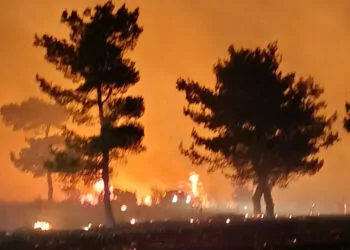 Tarım arazisinde başlayan yangın ormana sıçradı