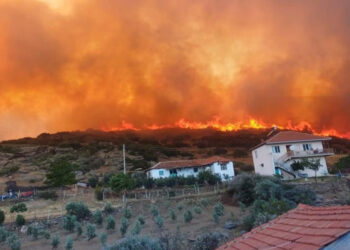 Manisa'daki orman yangını devam ediyor