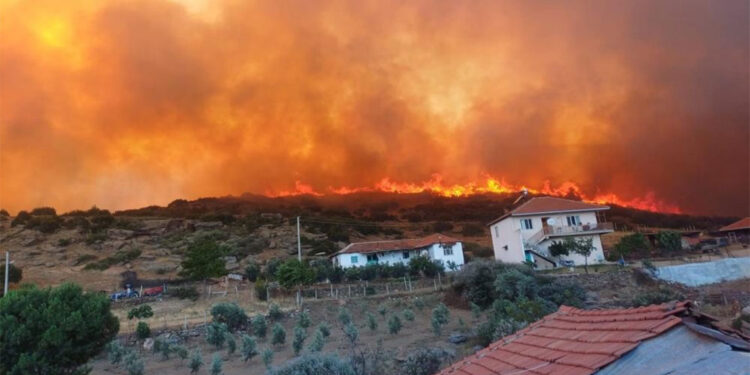 Manisa'daki orman yangını devam ediyor