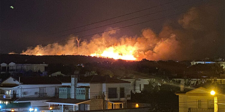Çeşme'de makilik alanda yangın