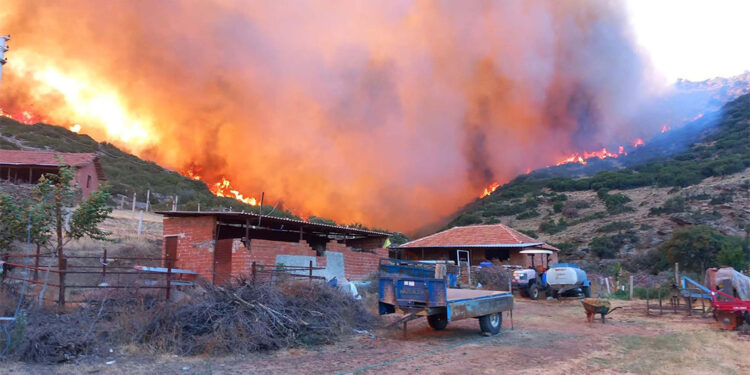 Manisa'daki orman yangını kontrol altına alındı