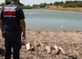 Küçükdöllük köyündeki gölette toplu balık ölümleri