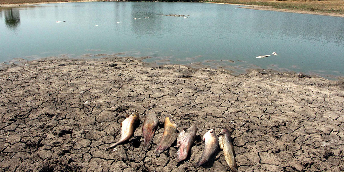 Edirne'nin Küçükdöllük köyündeki gölette toplu balık ölümleri yaşandı. Çevre, Şehircilik ve İklim Değişikliği İl Müdürlüğü ekipleri, ölü balıklar ve sudan numune alarak inceleme başlattı.