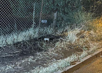 Havai fişek atarak yangına neden olan 3 kişi yakalandı