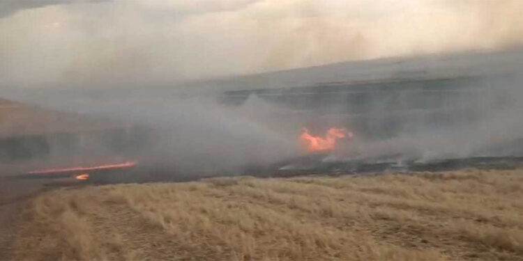 Batman ve Mardin'de çıkan yangında 60 dönüm anız ve meyve ağaçları yandı