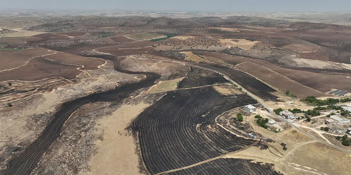 Diyarbakır-mardin sınırındaki yangında bilirkişi raporu çıktı