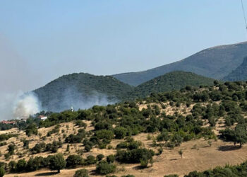 Balıkesir'deki orman yangını söndürüldü