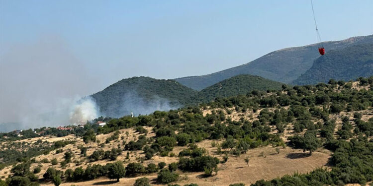 Balıkesir'deki orman yangını söndürüldü