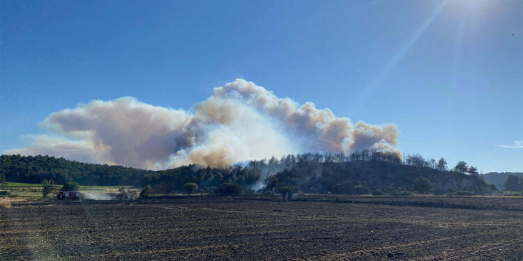 Çanakkale'deki yangında 952 futbol sahası büyüklüğündeki alan yandı