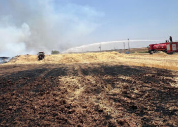Mardin’de bin 500 ton saman alev alev yandı