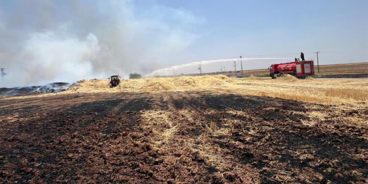 Mardin’de bin 500 ton saman alev alev yandı