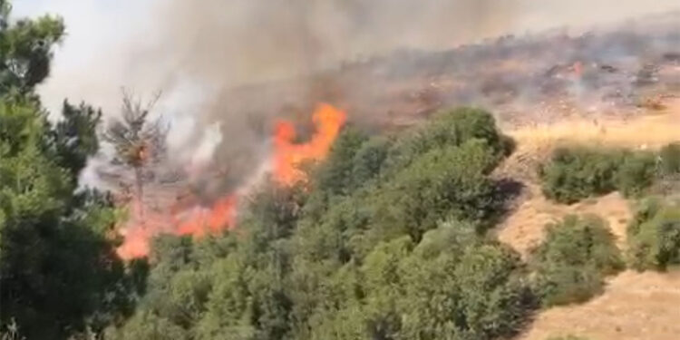 Manisa'da çıkan orman yangını söndürüldü