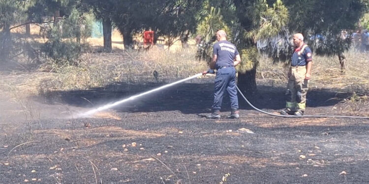 Marmara Üniversitesi'nde çıkan ot yangını söndürüldü