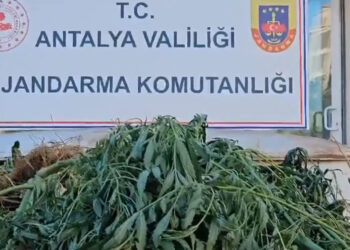 Narkoçelik-24 operasyonlarında 83 şüpheli yakalandı