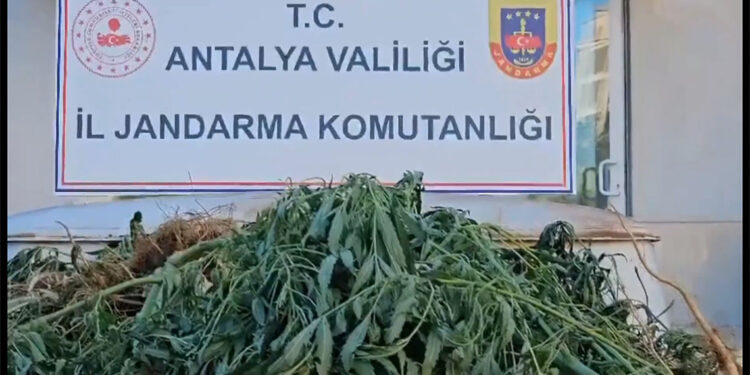 Narkoçelik-24 operasyonlarında 83 şüpheli yakalandı