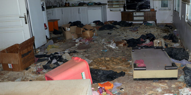 Harabeye dönen evinde onlarca kedi ölüsü buldu