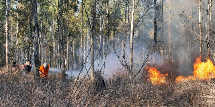 Aşırı sıcakta 'ateşsiz piknik' önerisi