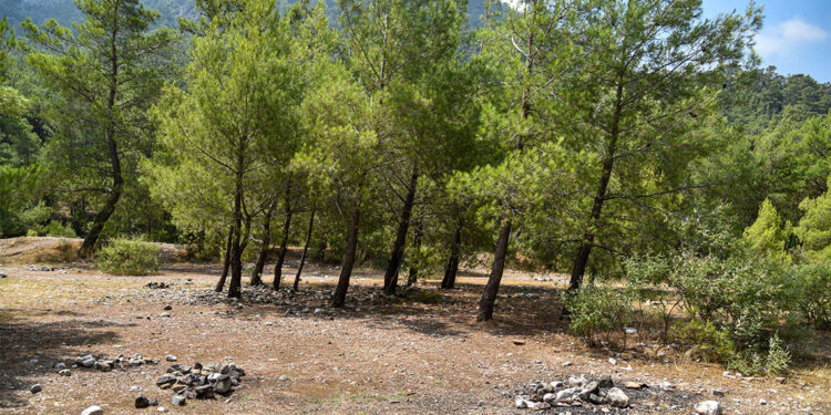 Ateş yakmanın yasak olduğu Antalya'da 'mangal' duyarsızlığı