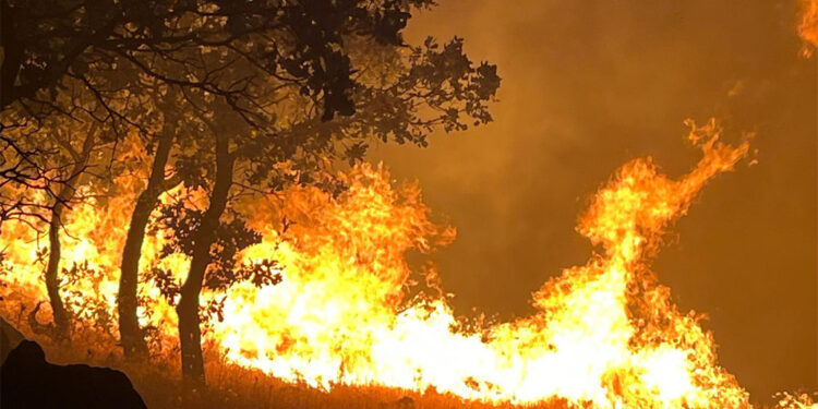 Adıyaman'da yangın