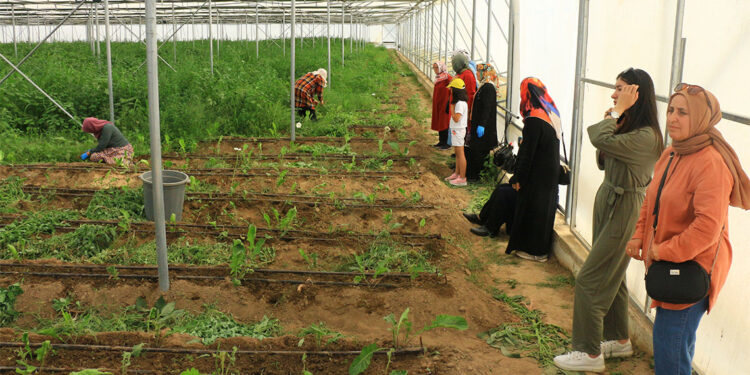 300 kadın kesme çiçekçilik sektörüne katılıyor