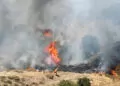 Bingöl'de 2 bölgede orman yangını