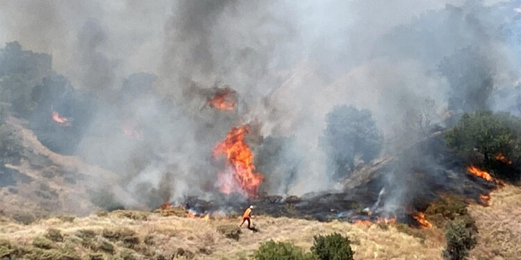 Bingöl'de 2 bölgede orman yangını