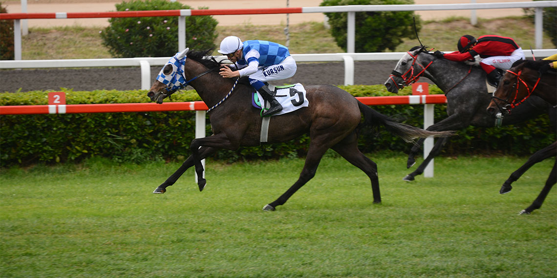 Bu yıl 98. Gazi Koşusu’nda kupa yarın İstanbul Veliefendi Hipodromu'nda sahibini bulacak.