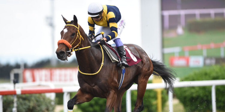 98. Gazi Koşusu'nda kupa yarın sahibini bulacak