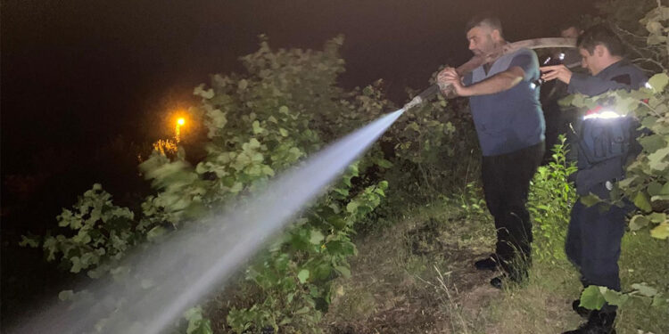 Rüzgarın kopardığı elektrik telleri ormanda yangın çıkardı