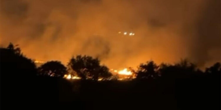 Seferihisar'da ormanda çıkan yangın söndürüldü