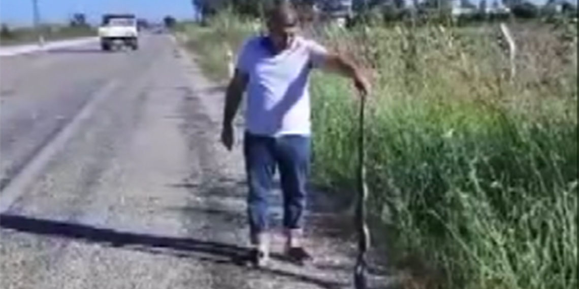 Adana Veteriner Hekimler Odası Başkanı Nihat Köse, "Yılan ısırmasında kanın emilerek boşaltılması doğru değil" dedi.