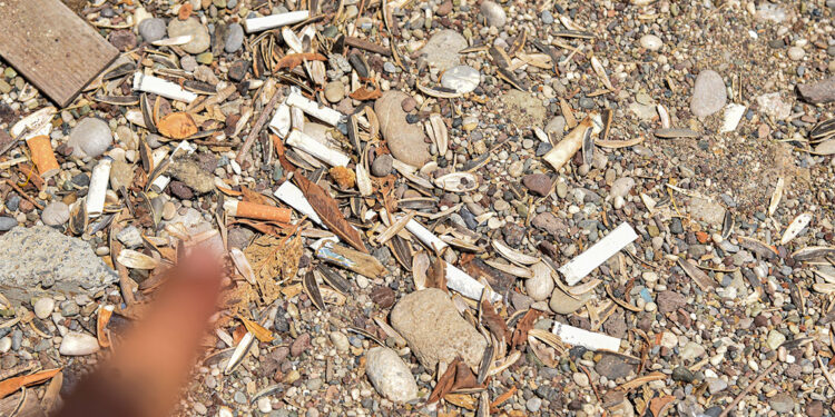 Konyaaltı Sahili'nde izmarit ve çekirdek kabuğu kirliliği