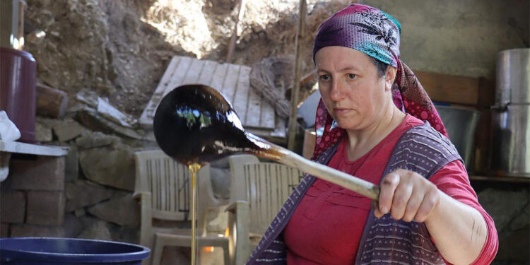 'Karnavas dut pekmezi' mesaisi başladı