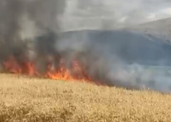 Tokat'ta buğday tarlasında yangın; 10 dönüm buğday yandı