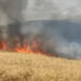 Tokat'ta buğday tarlasında yangın; 10 dönüm buğday yandı