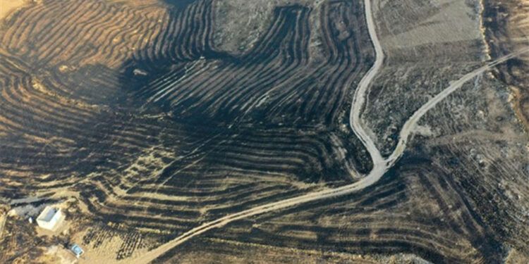 Anız yangınıyla ilgili soruşturma başlatıldı