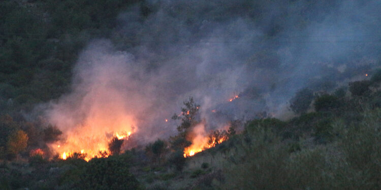 Adana'da 2 günde 10 orman yangını çıktı, profesör uyardı