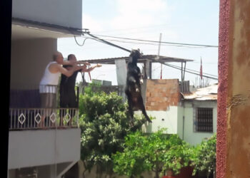 Adana'da Kurban Bayramı manzaraları