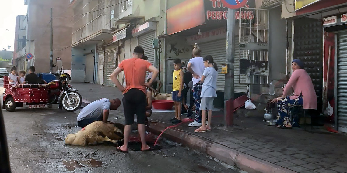 Adana'da Kurban Bayramı manzaraları